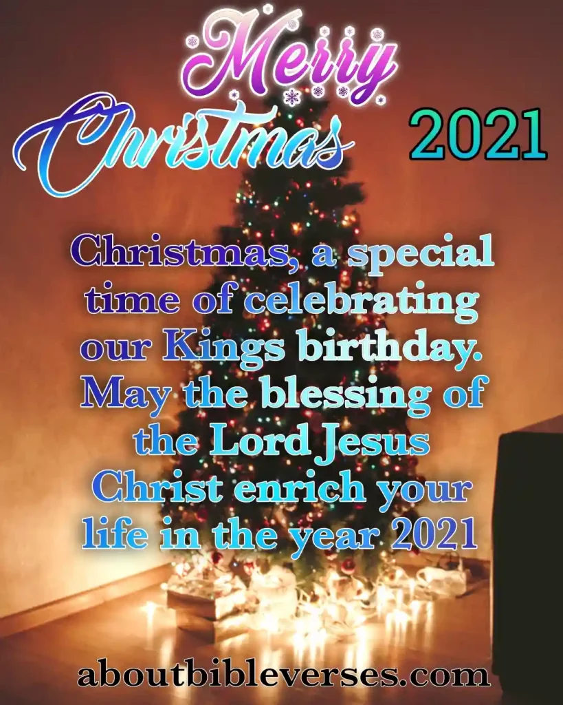 Merry Christmas Quotes (2)