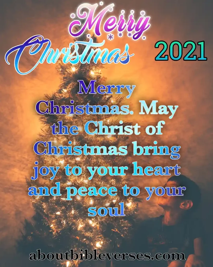 Merry Christmas Quotes (3)