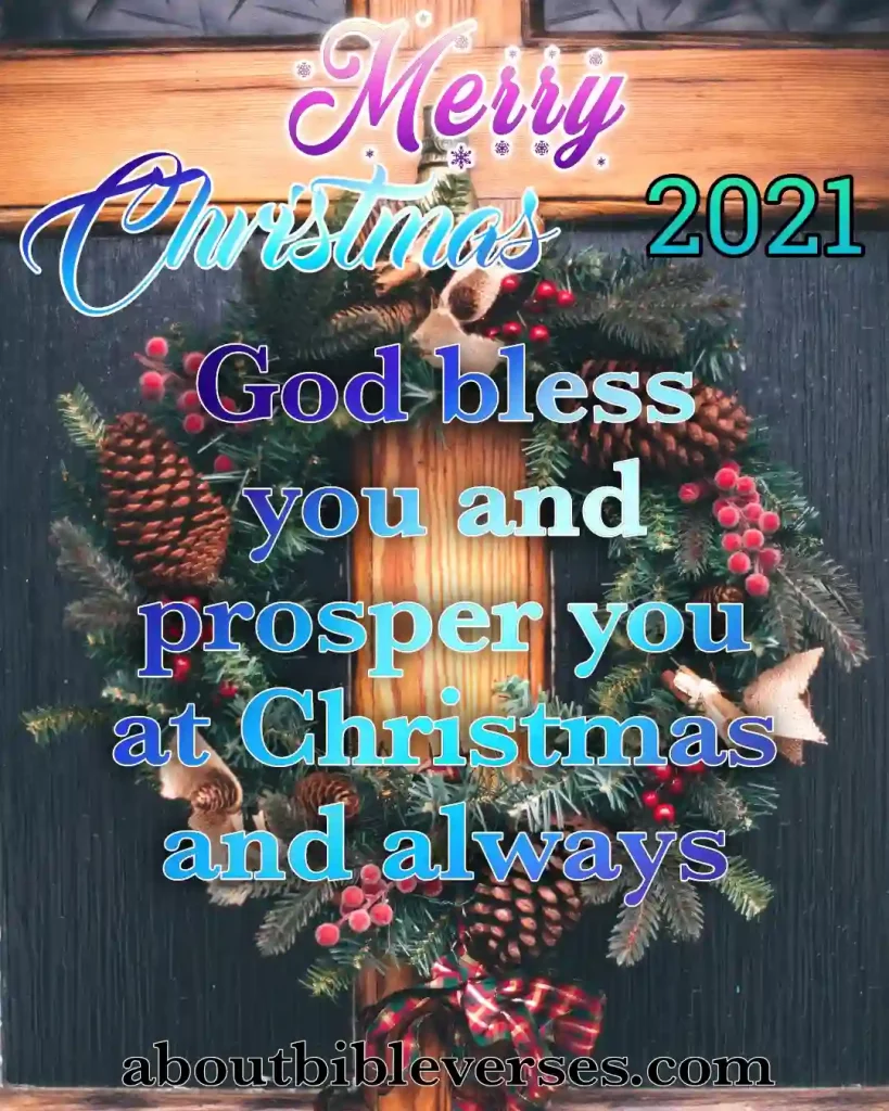 Merry Christmas Quotes (9)