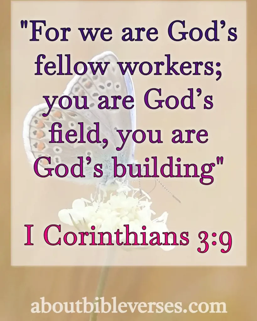 Bible Verse About Working (1 Corinthians 3:9)