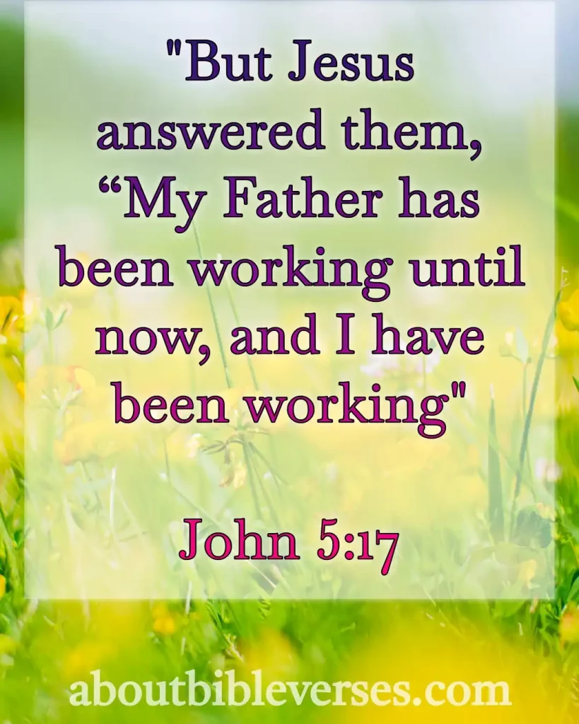Bible Verse About Working (John 5:17)