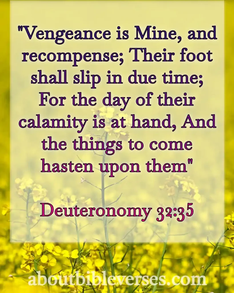 Bible Verses About Revenge (Deuteronomy 32:35)