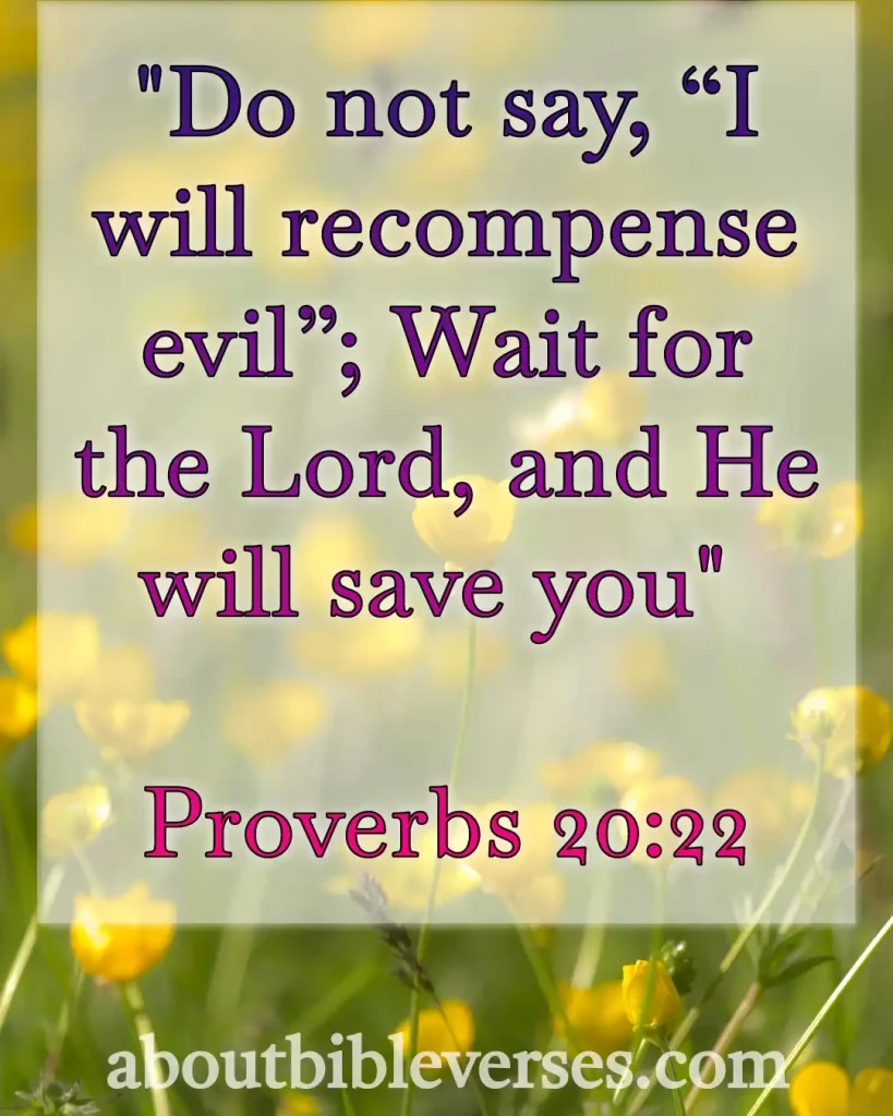 Bible Verses About Revenge (Proverbs 20:22)