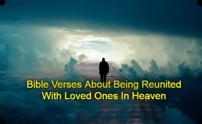 Bible Verses About Being Reunited With Loved Ones In Heaven