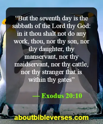 Happy Sunday Blessings Bible Verse (Exodus 20:10)