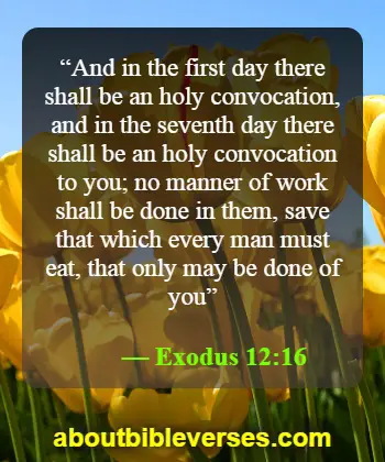 Happy Sunday Blessings Bible Verse (Exodus 12:16)