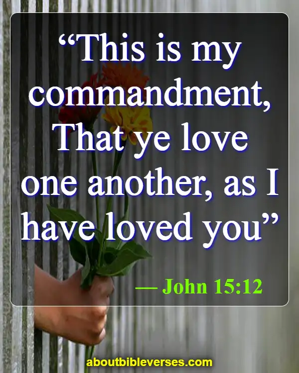 bible verses about love one anothers (John 15:12)