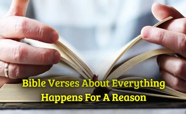 [Best] 15+Bible Verses About Everything Happens For A Reason – KJV