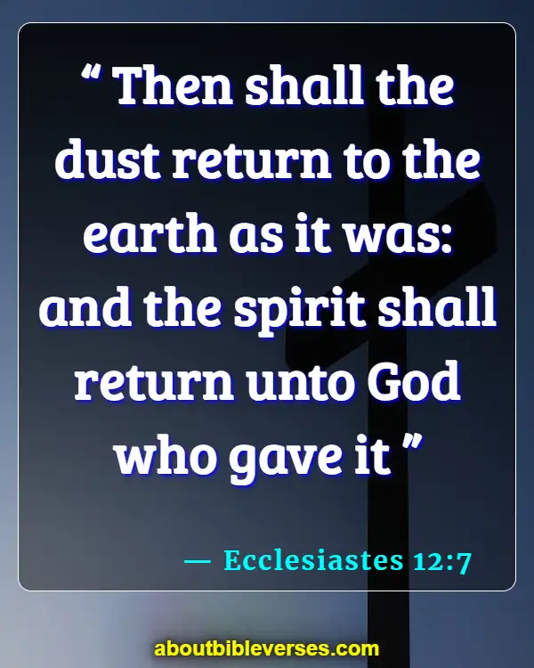 Today's Bible Verse (Ecclesiastes 12:7)