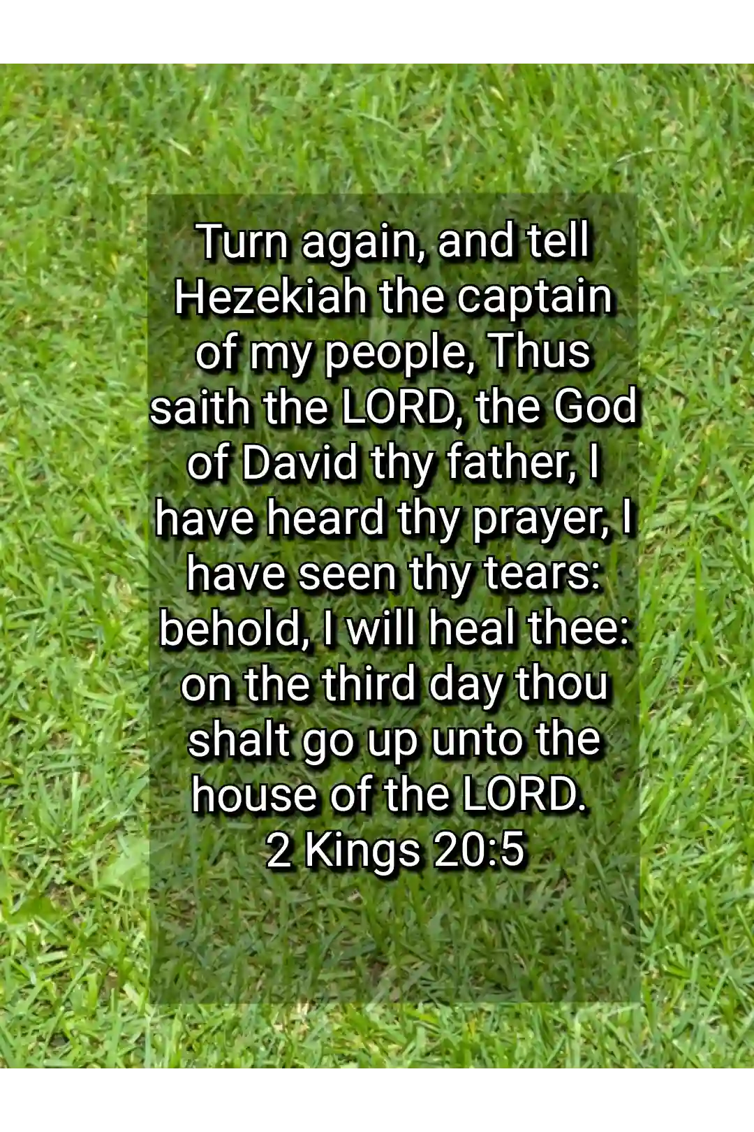 bible verses wallpaper about healing(2kings 20:5)