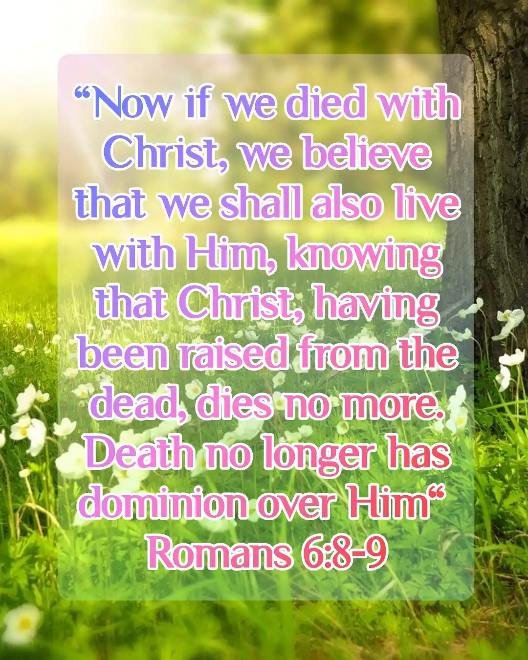 Bible Verses For Resurrection (Romans 6:8-9)