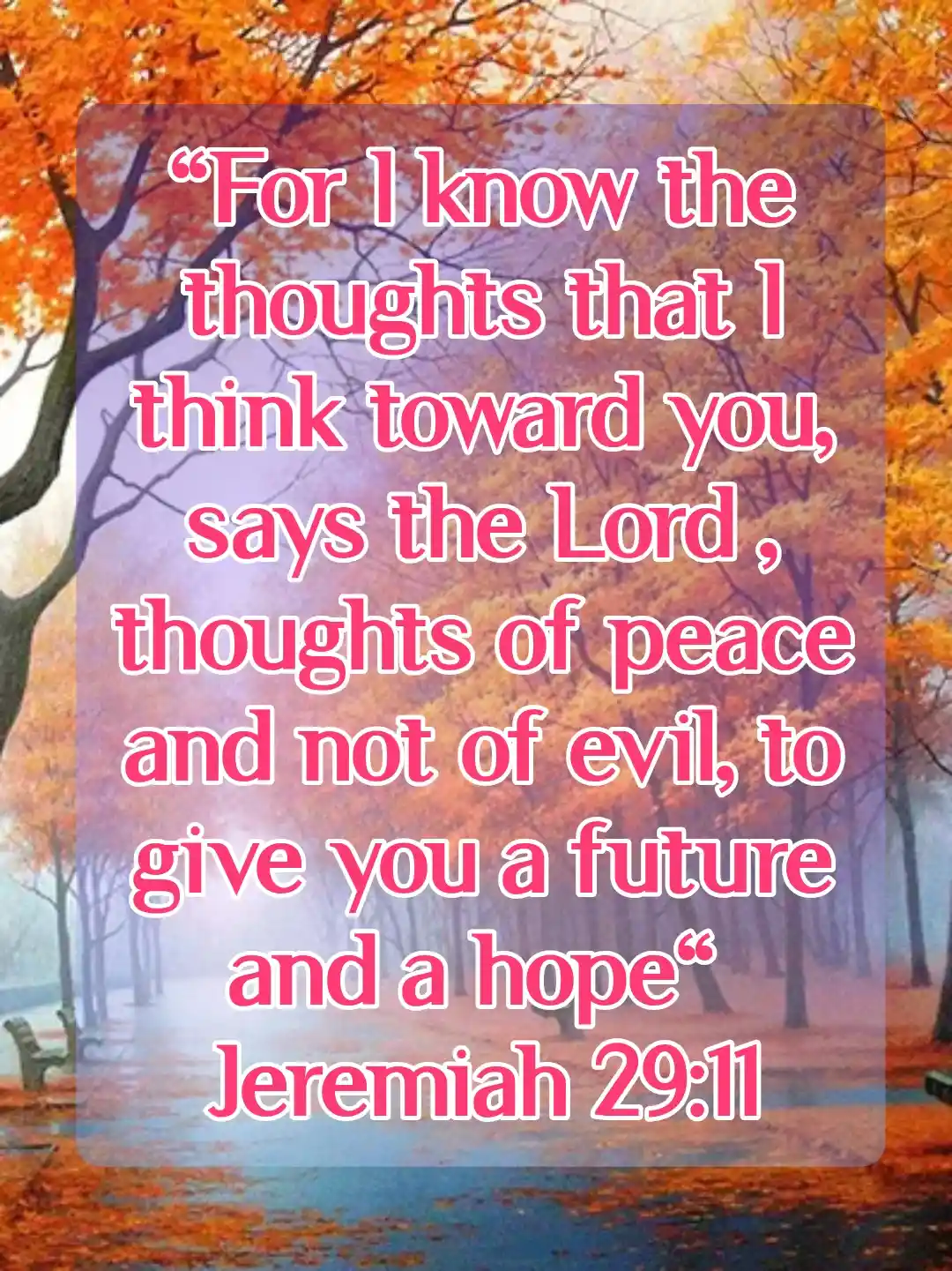 Bible verses about God's plans (Jeremiah 29:11)