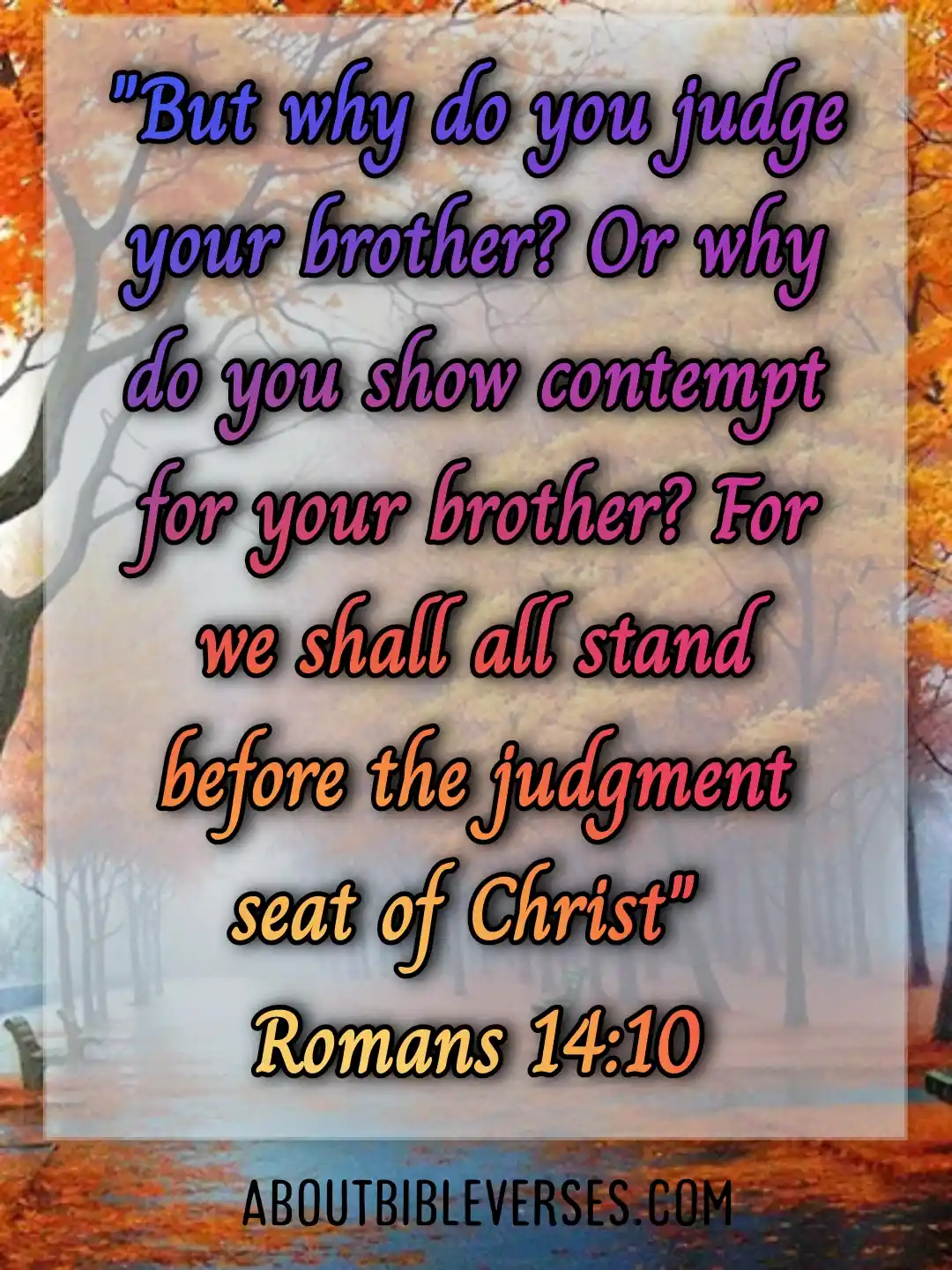 bible verses about judging (Romans 14:10)