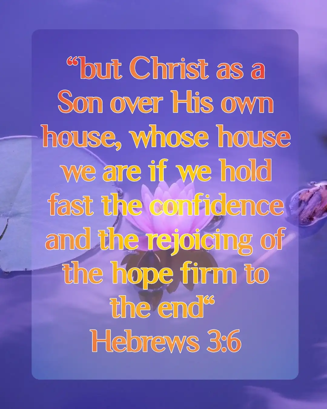 today bible verse (Hebrews 3:6)