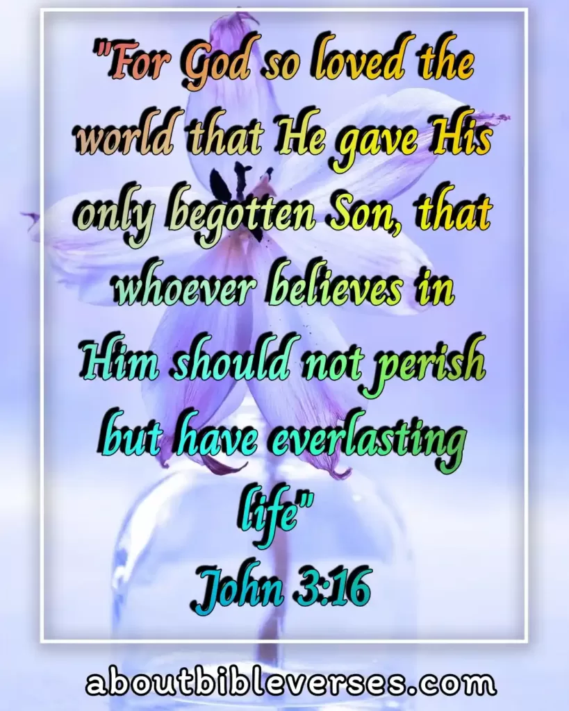 Life Changing Bible Verses (John 3:16)