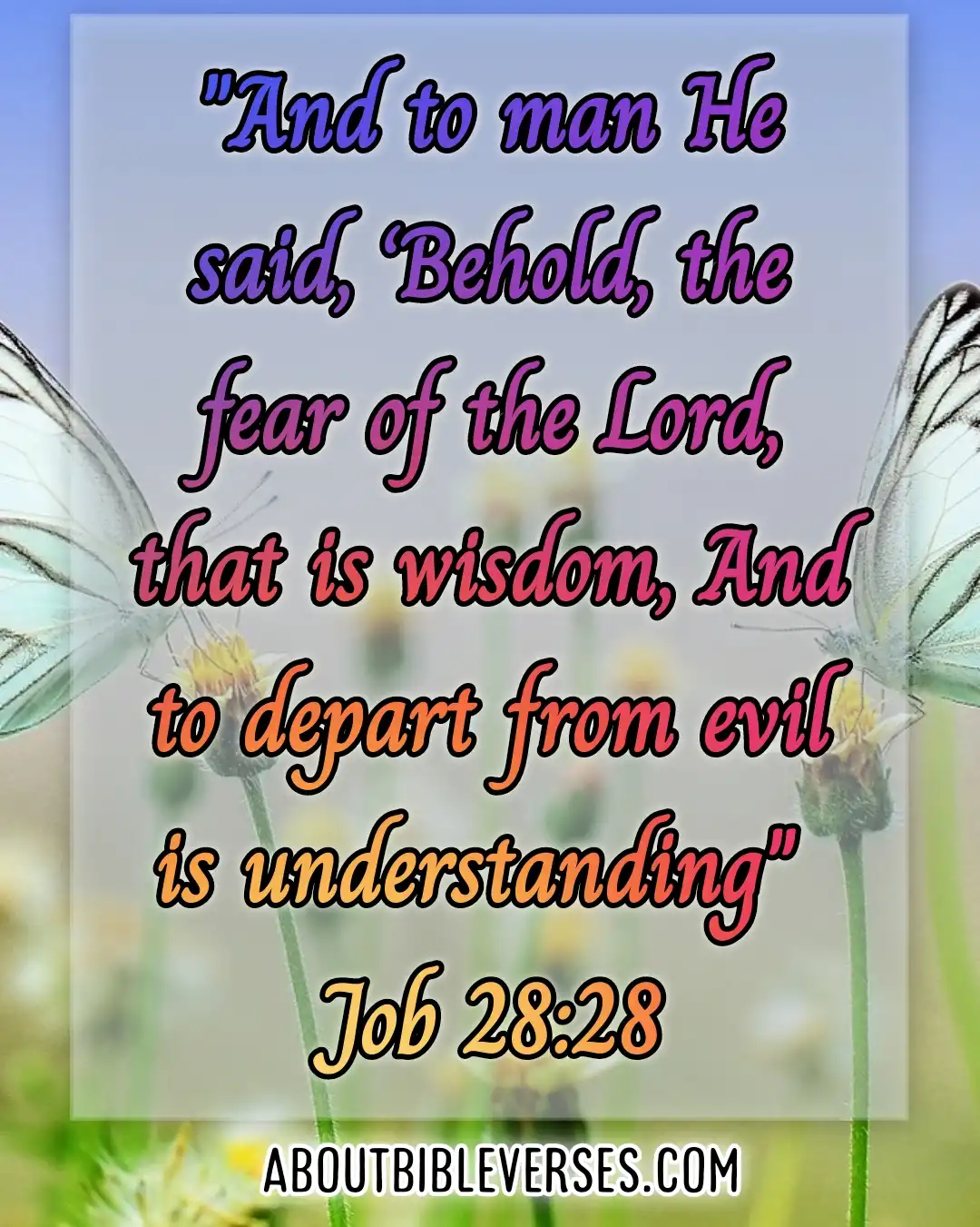 Bible Verses Fear Of God (Job 28:28)