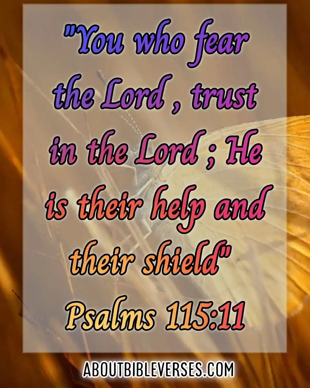 Bible Verses Fear Of God (Psalms 115:11)