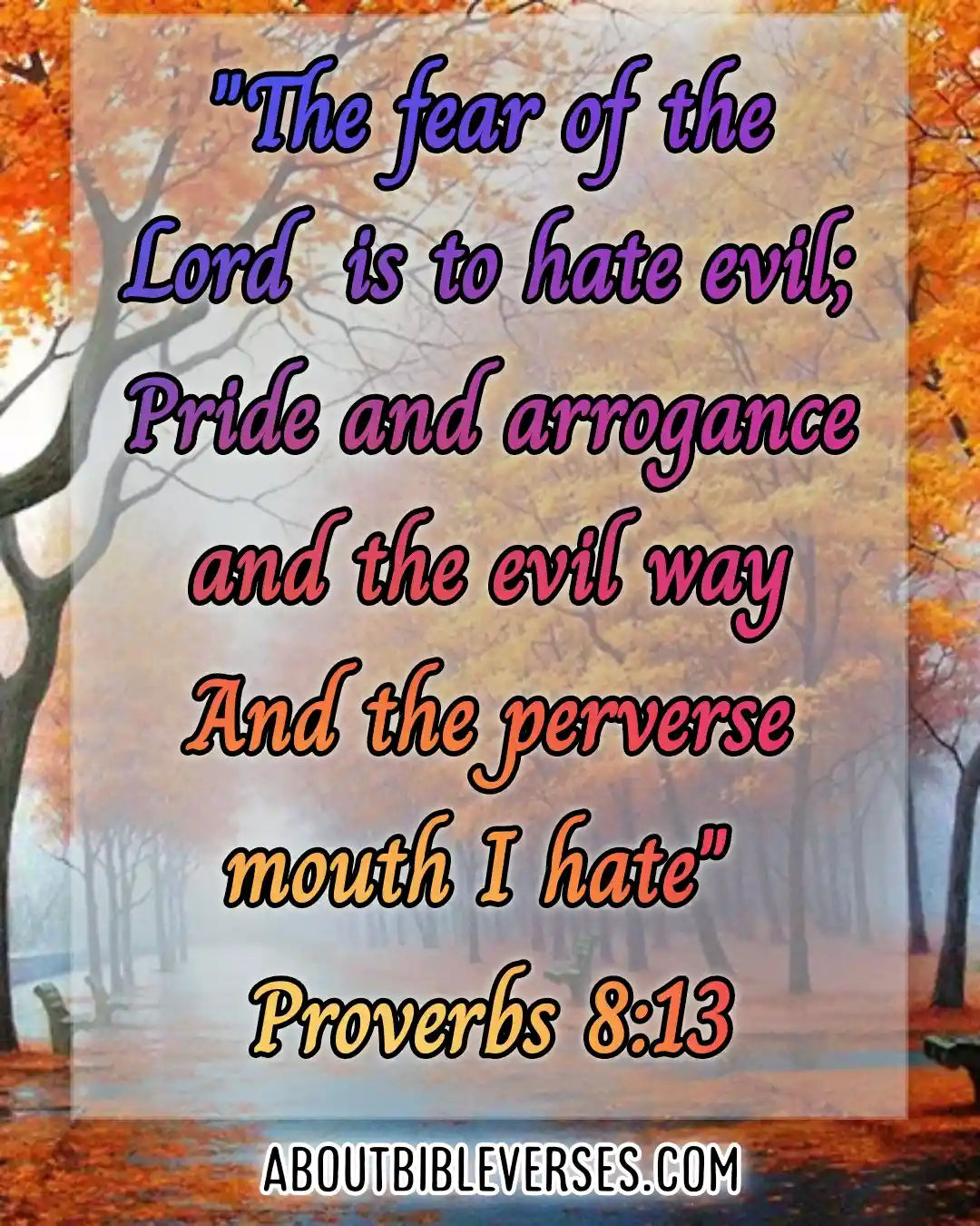 Today Bible Verse (proverbs 8:13)