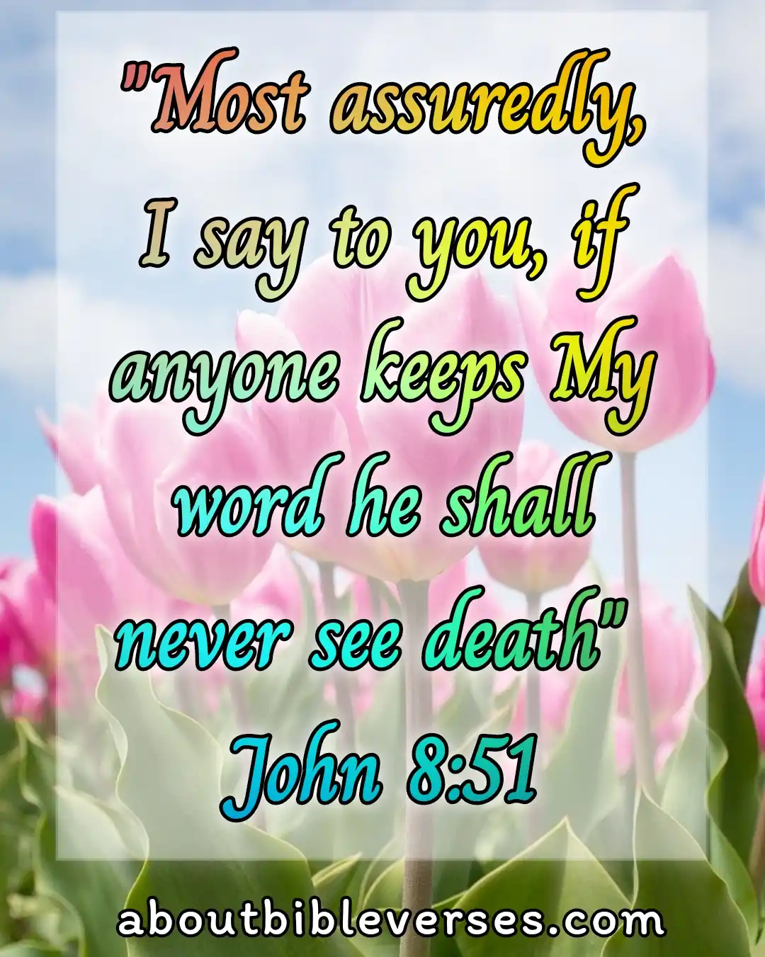 Today bible verse (John 8:51)