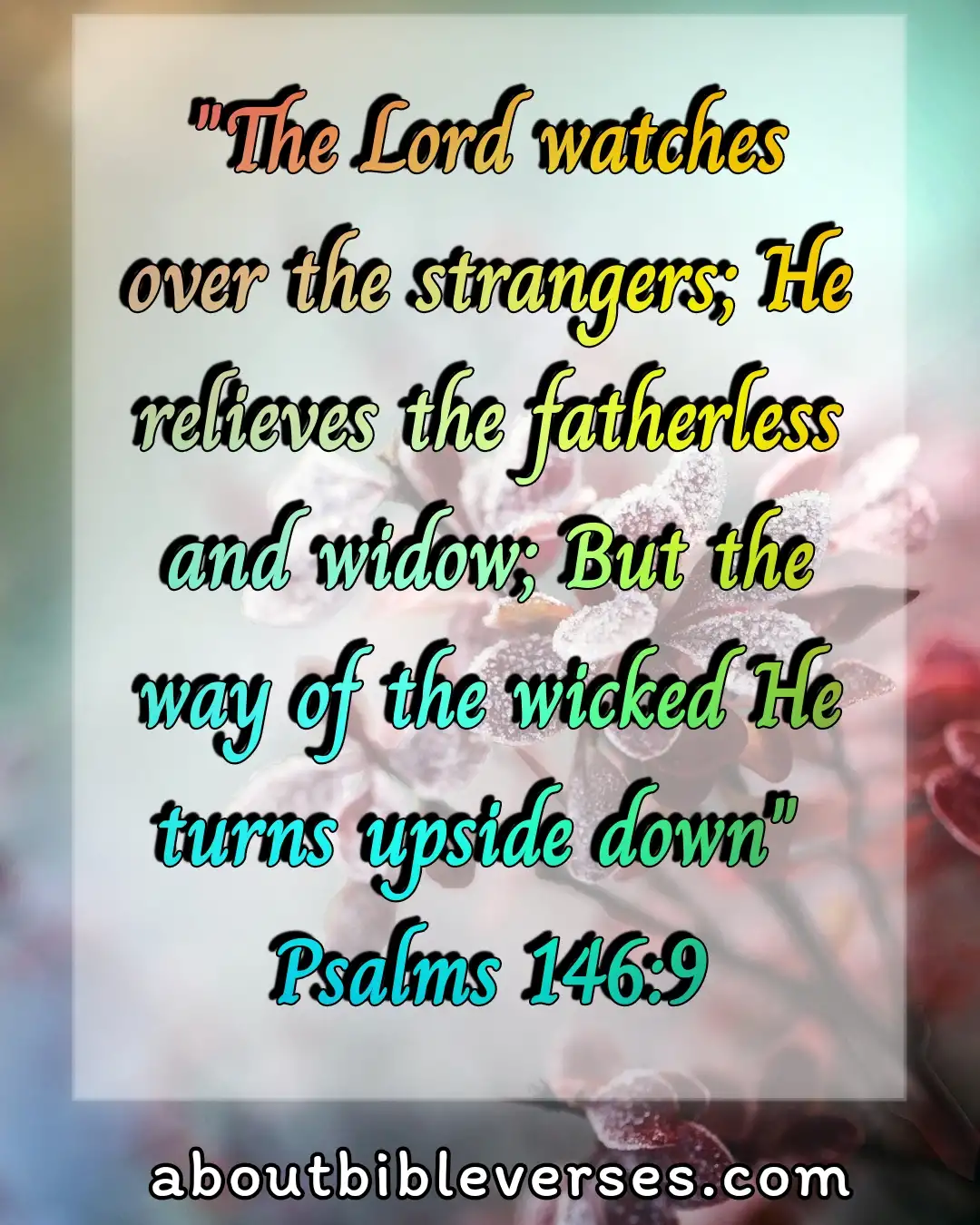 bible verses about widows (Psalm 146:9)