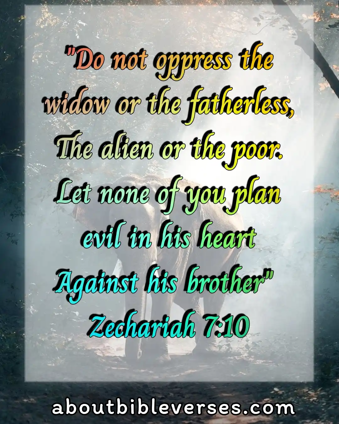 Today bible verse (Zechariah 7:10)
