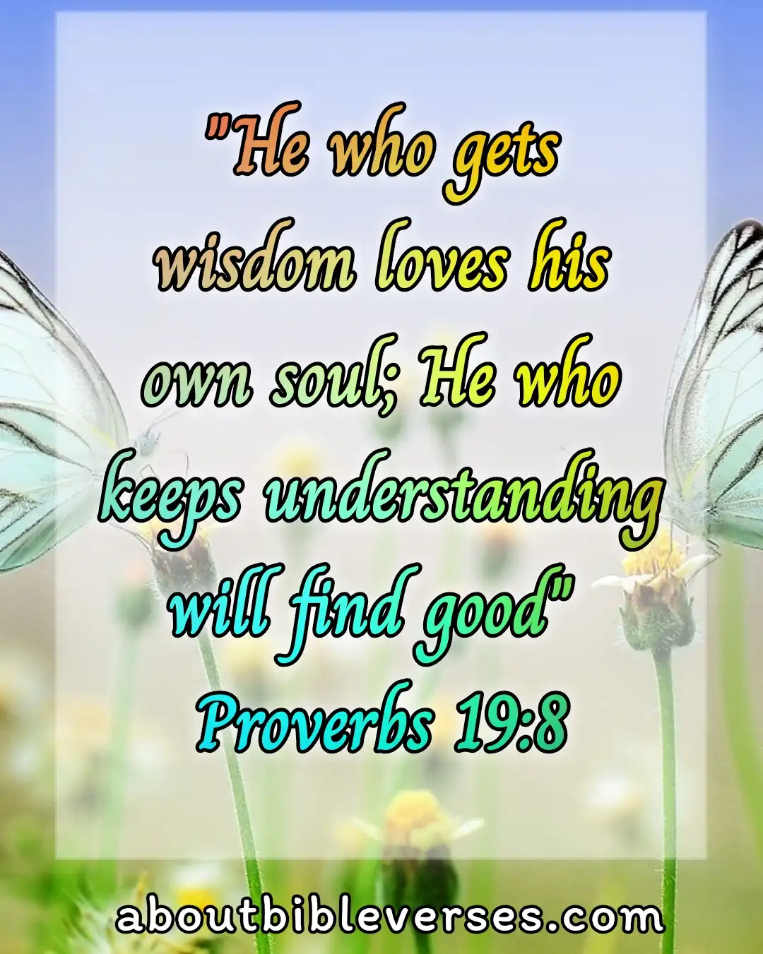 bible verses about wisdom (Proverbs 19:8)