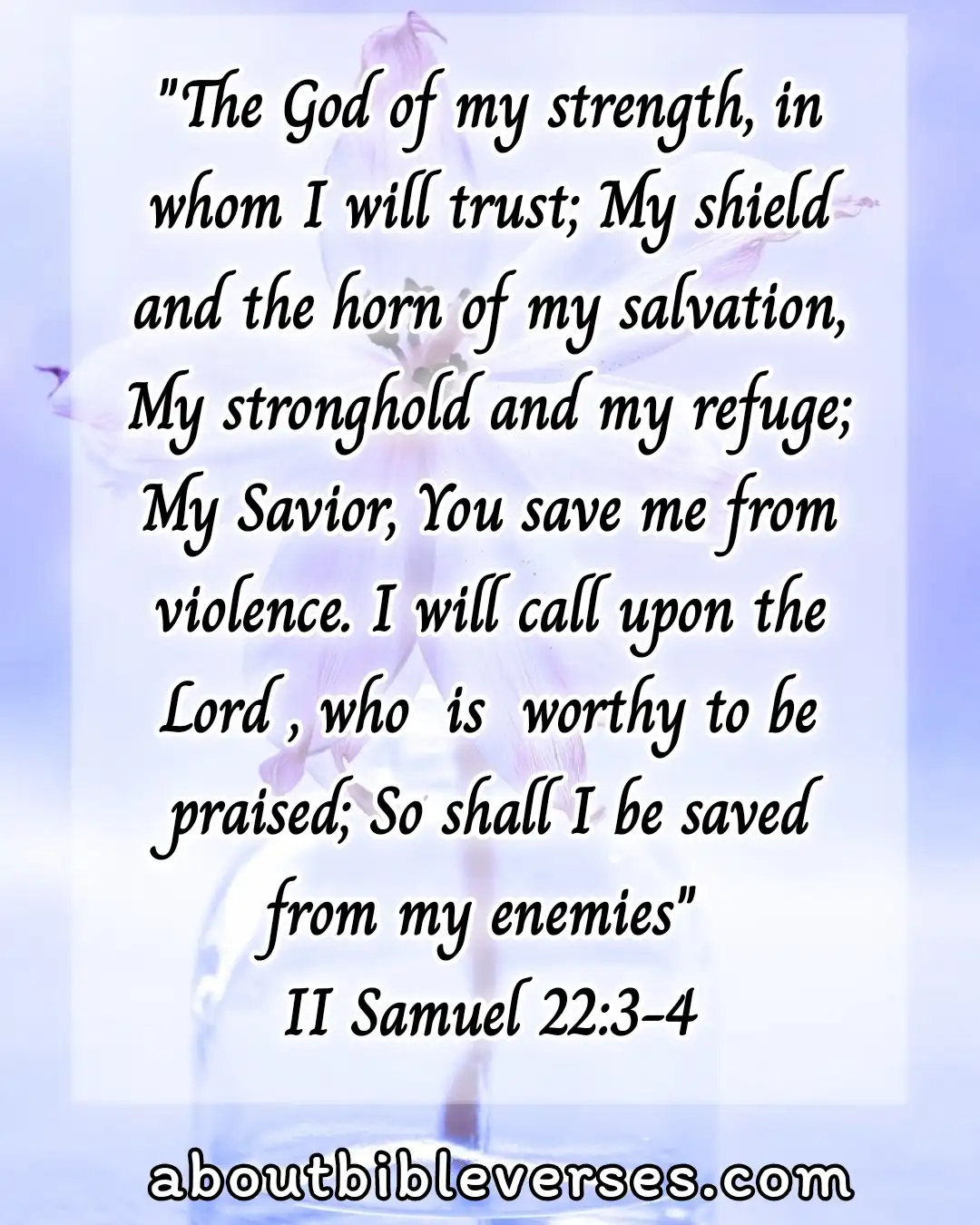 bible verses for protection (2 Samuel 22:3-4)