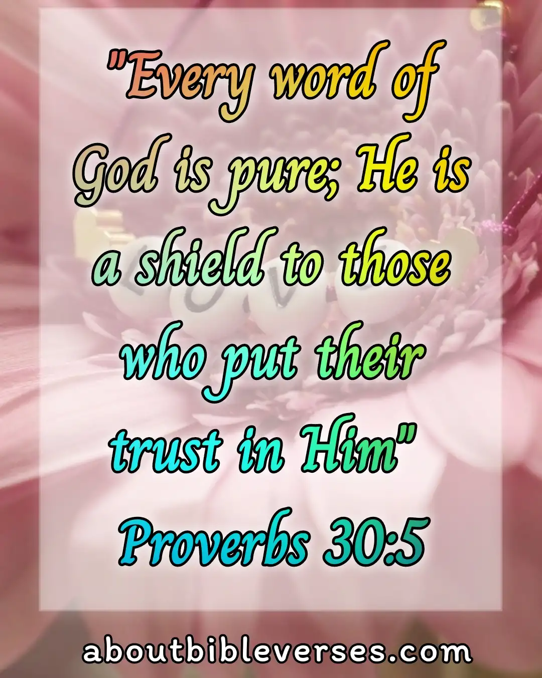 today bible verse (Proverbs 30:5)