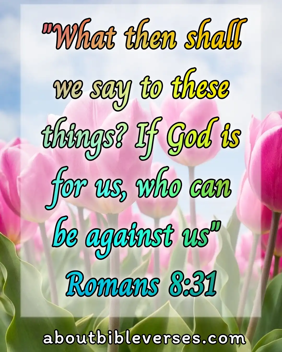 today bible verse (Romans 8:31)