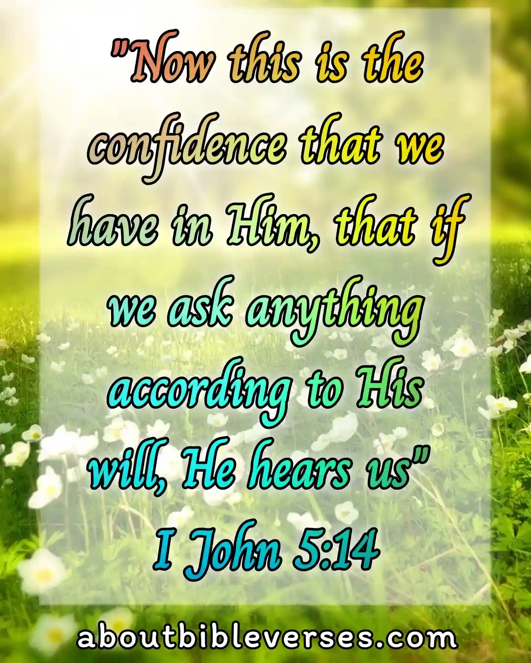 Bible Verses About Asking God For Help (1 John 5:14)