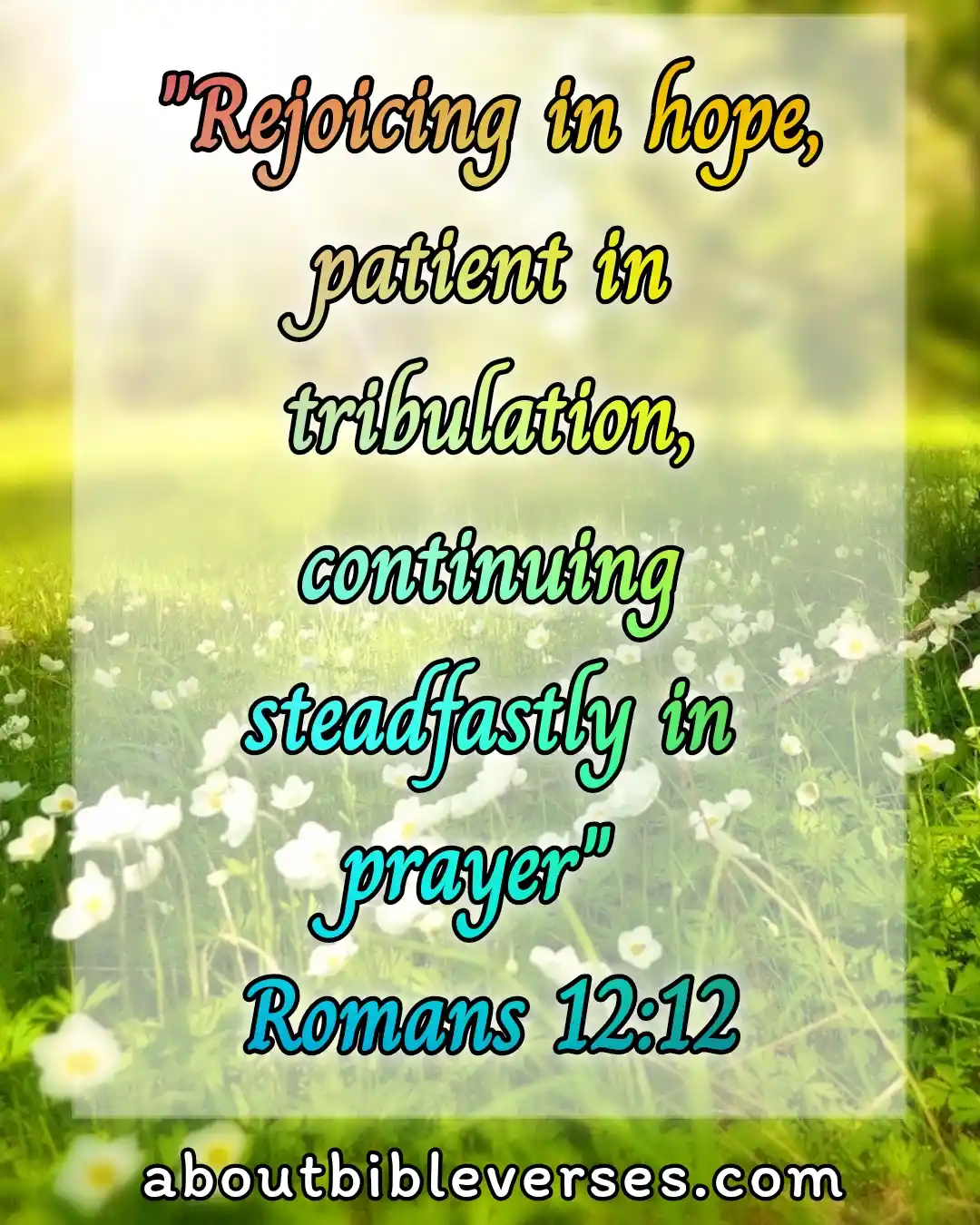 bible verses About Power Of prayer (Romans 12:12)