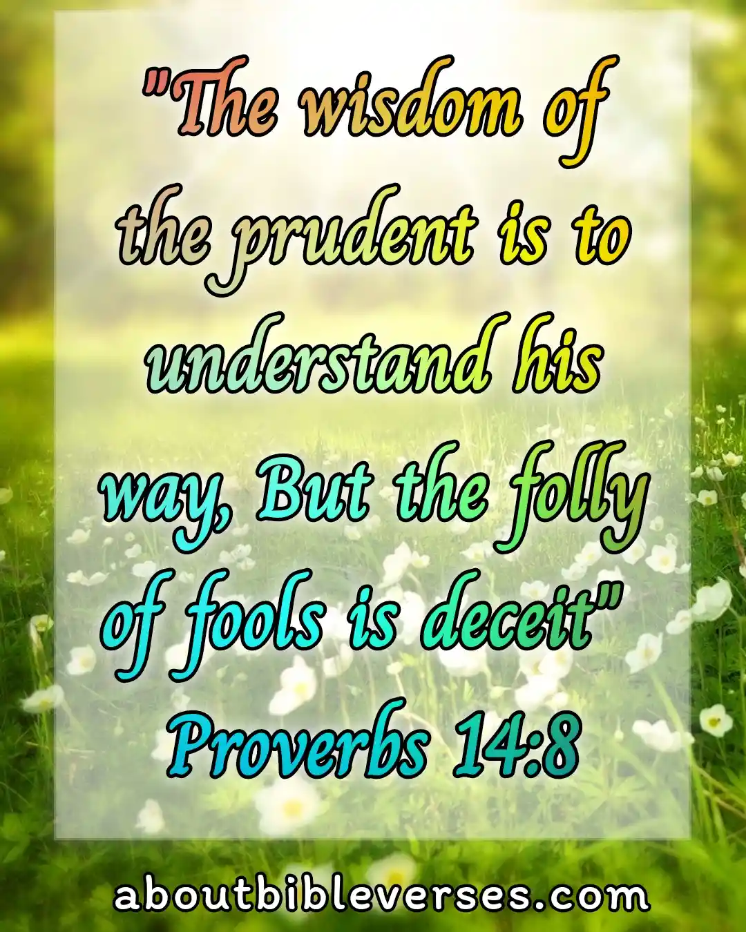 bible verses about fool (Proverbs 14:8)