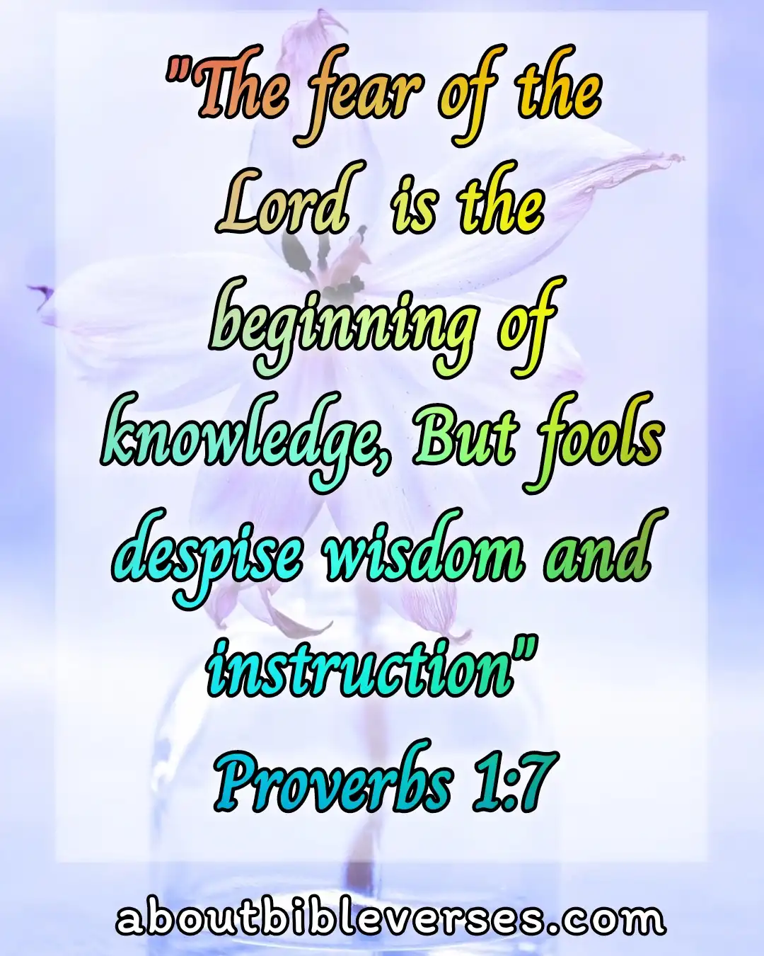 bible verses about fool (Proverbs 1:7)