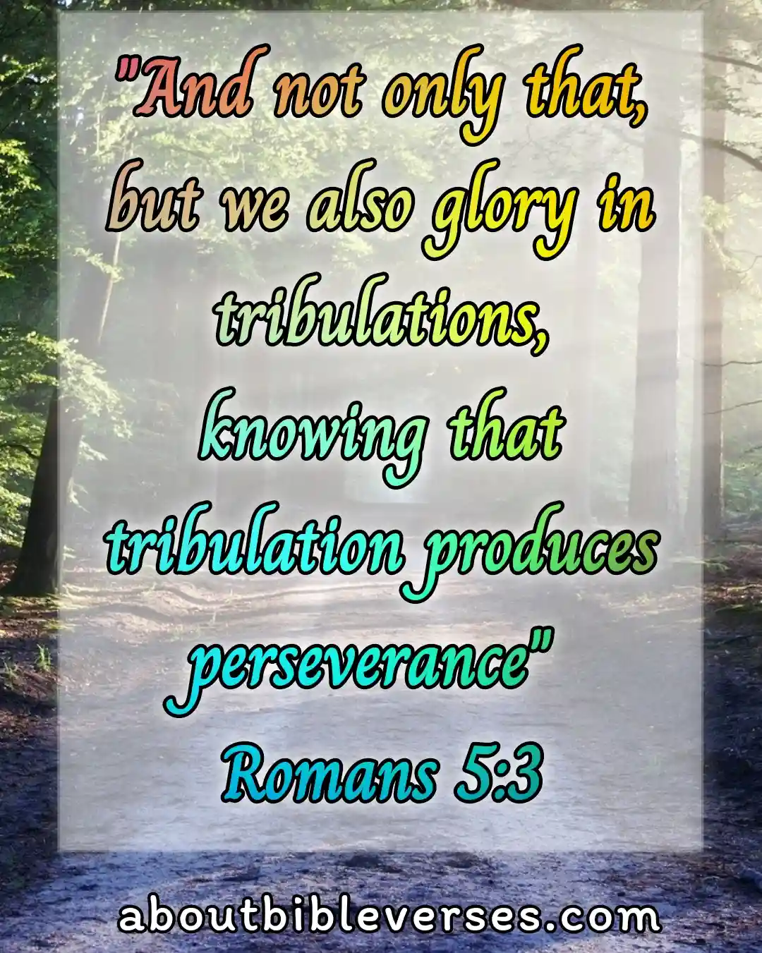 today bible verse (Romans 5:3)