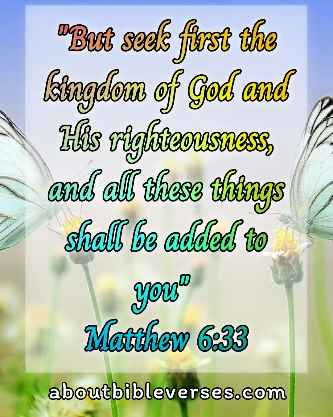 important bible verses (Matthew 6:33)