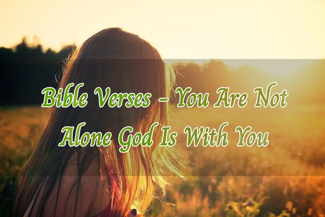 Bible Verses Alone