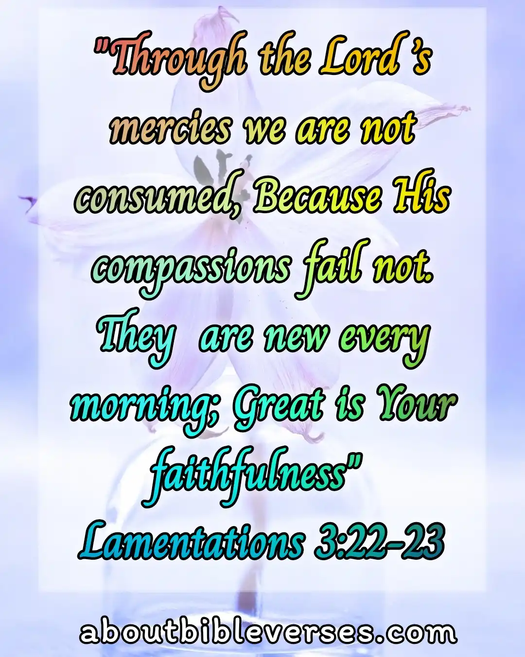 Bible verses God Is Merciful (Lamentations 3:22-23)