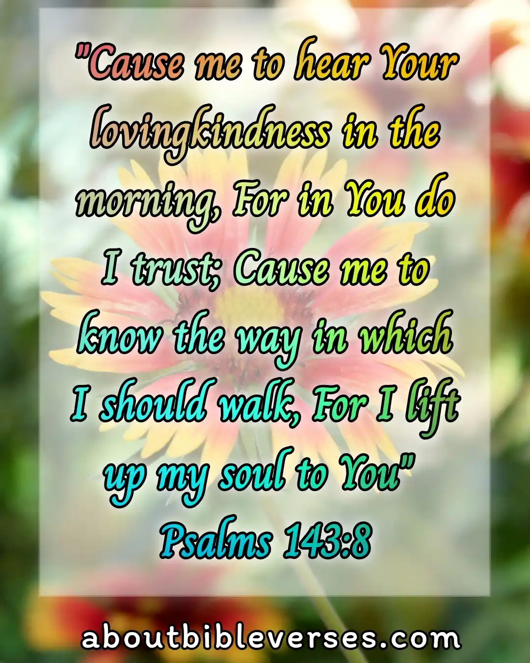 Good morning bible verses (Psalm 143:8)