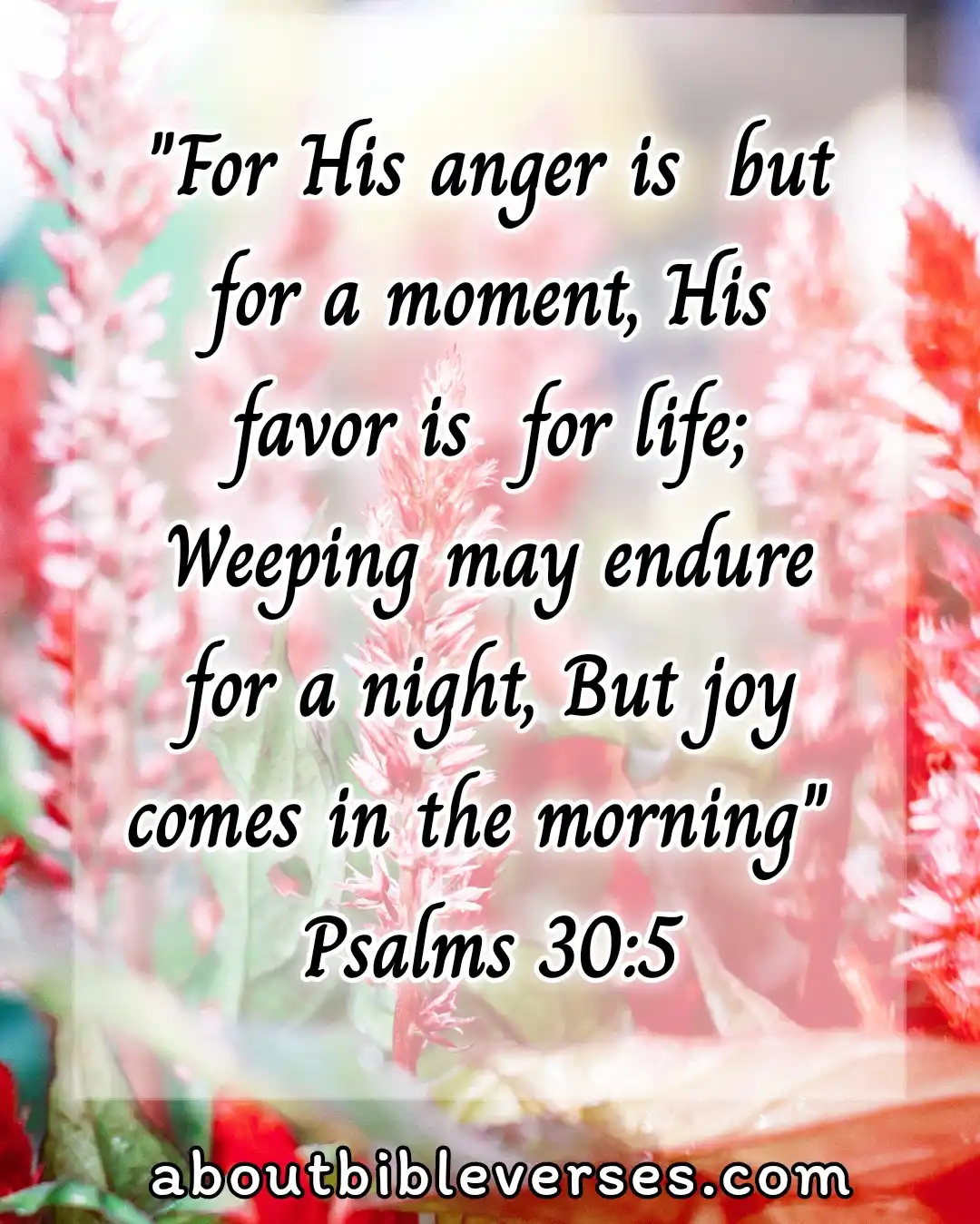 Bible Verses About God Is Slow To Anger (Psalm 30:5)