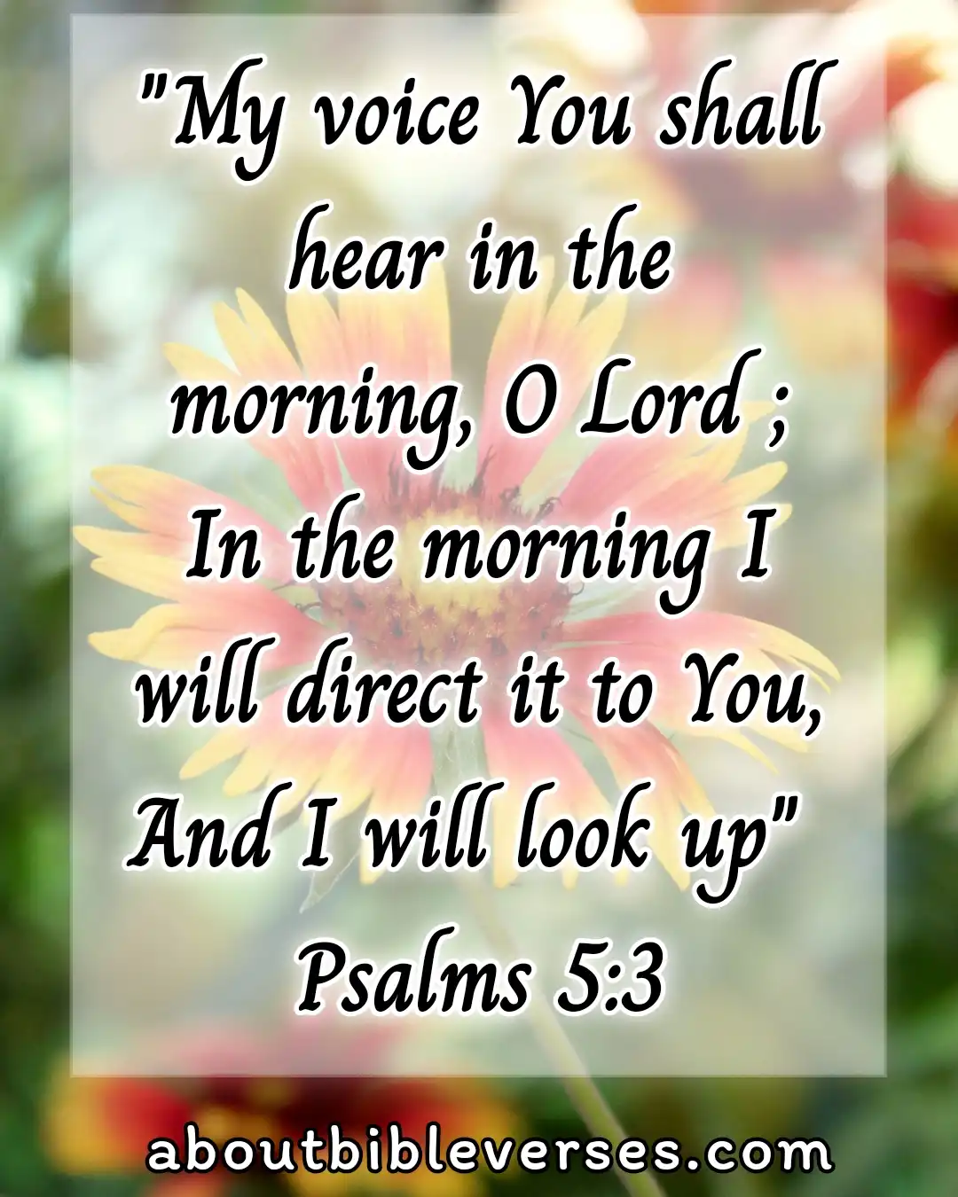 Good morning bible verses (Psalm 5:3)