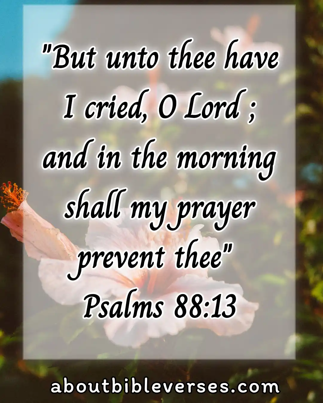 Good morning bible verses (Psalm 88:13)
