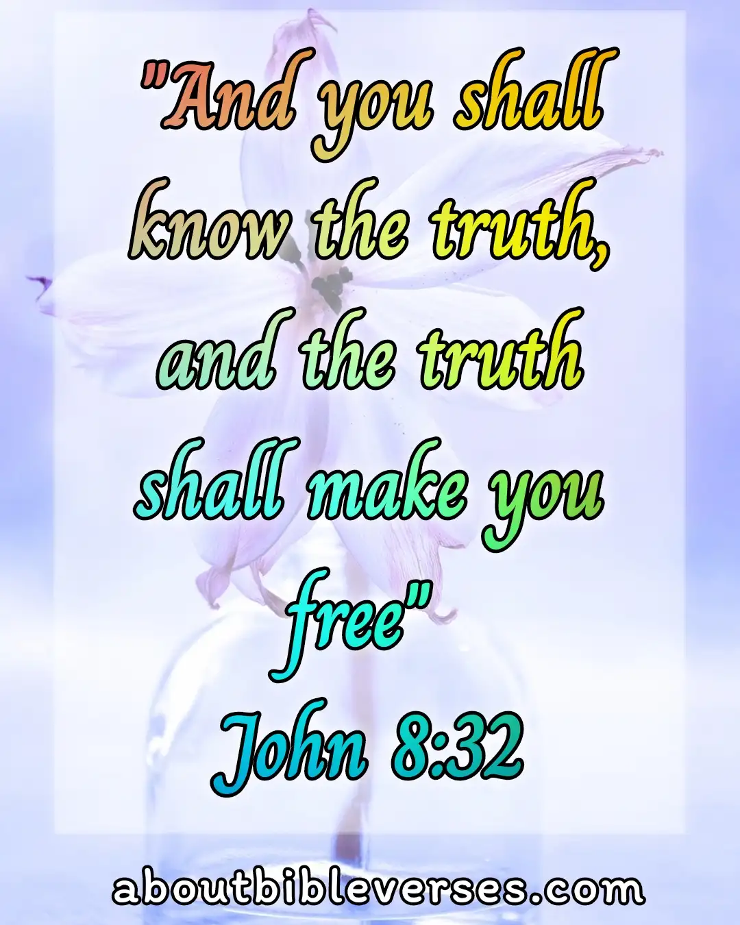 today bible verse (John 8:32)