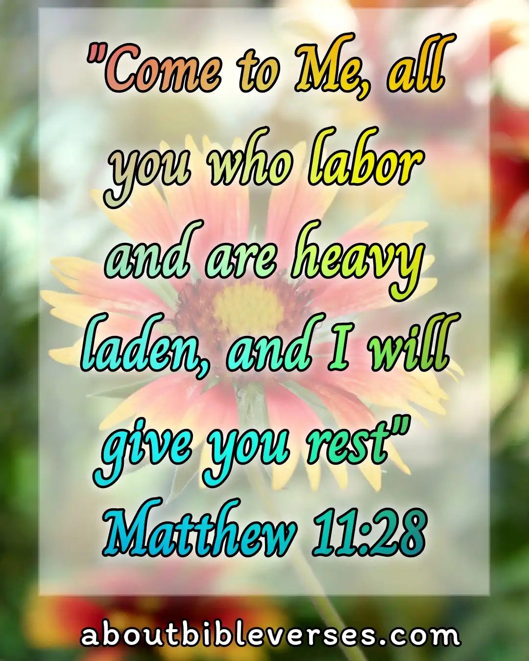 today bible verse (Matthew 11:28)