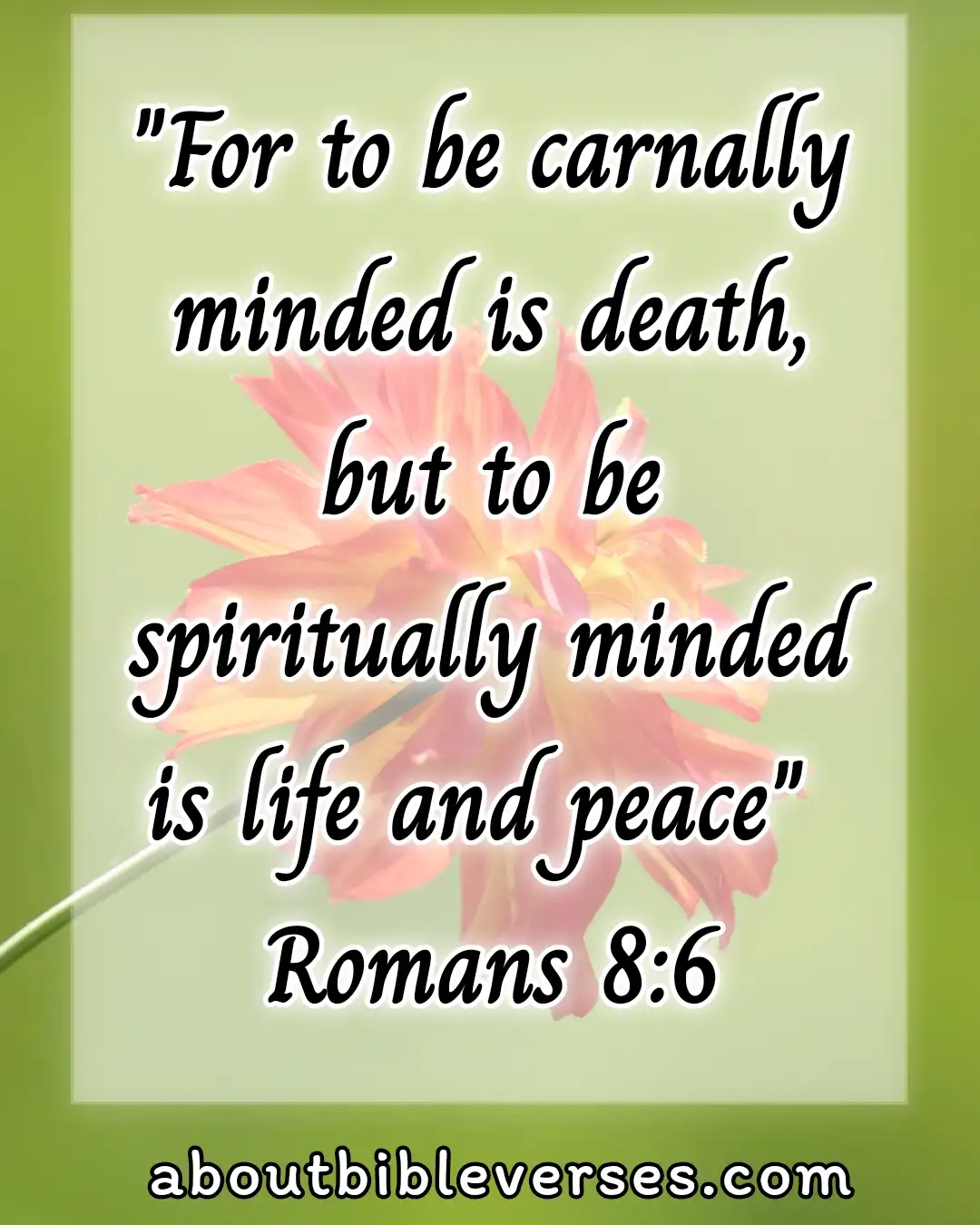 Life Changing Bible Verses (Romans 8:6)