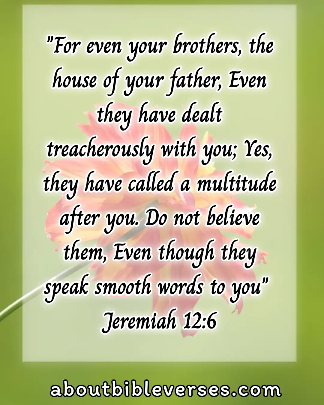 bible verses about betrayal (Jeremiah 12:6)