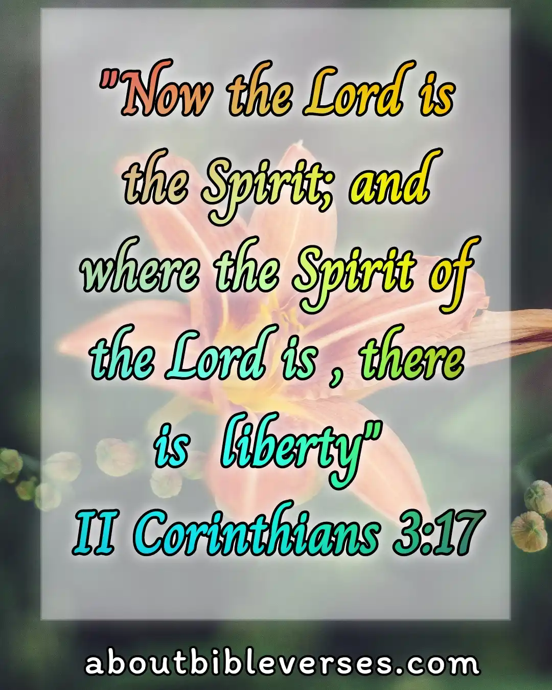 bible verses holiness (2 Corinthians 3:17)