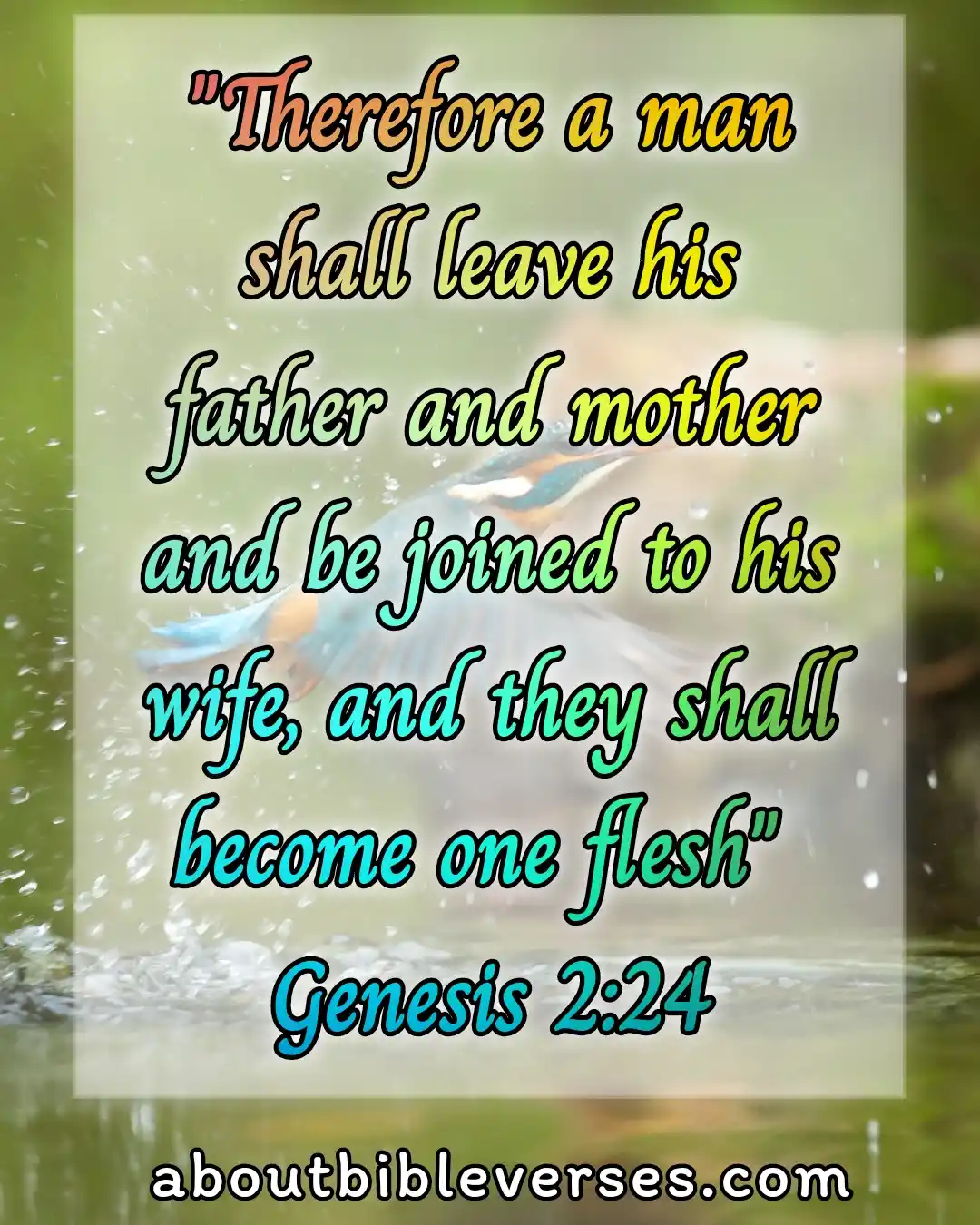 Best Marriage Bible Verses God S Plans And Guidelines