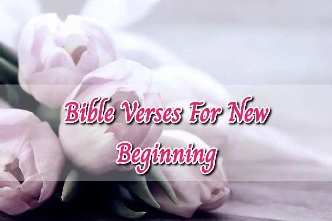 bible verses new beginnings