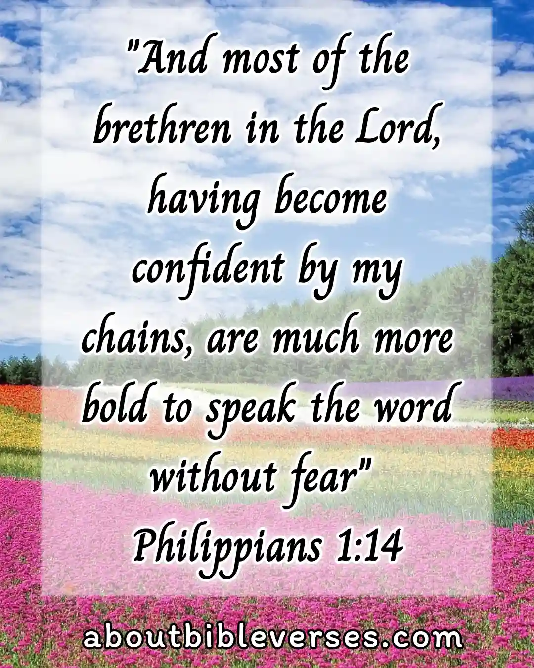 Bible Verses About Boldness (Philippians 1:14)