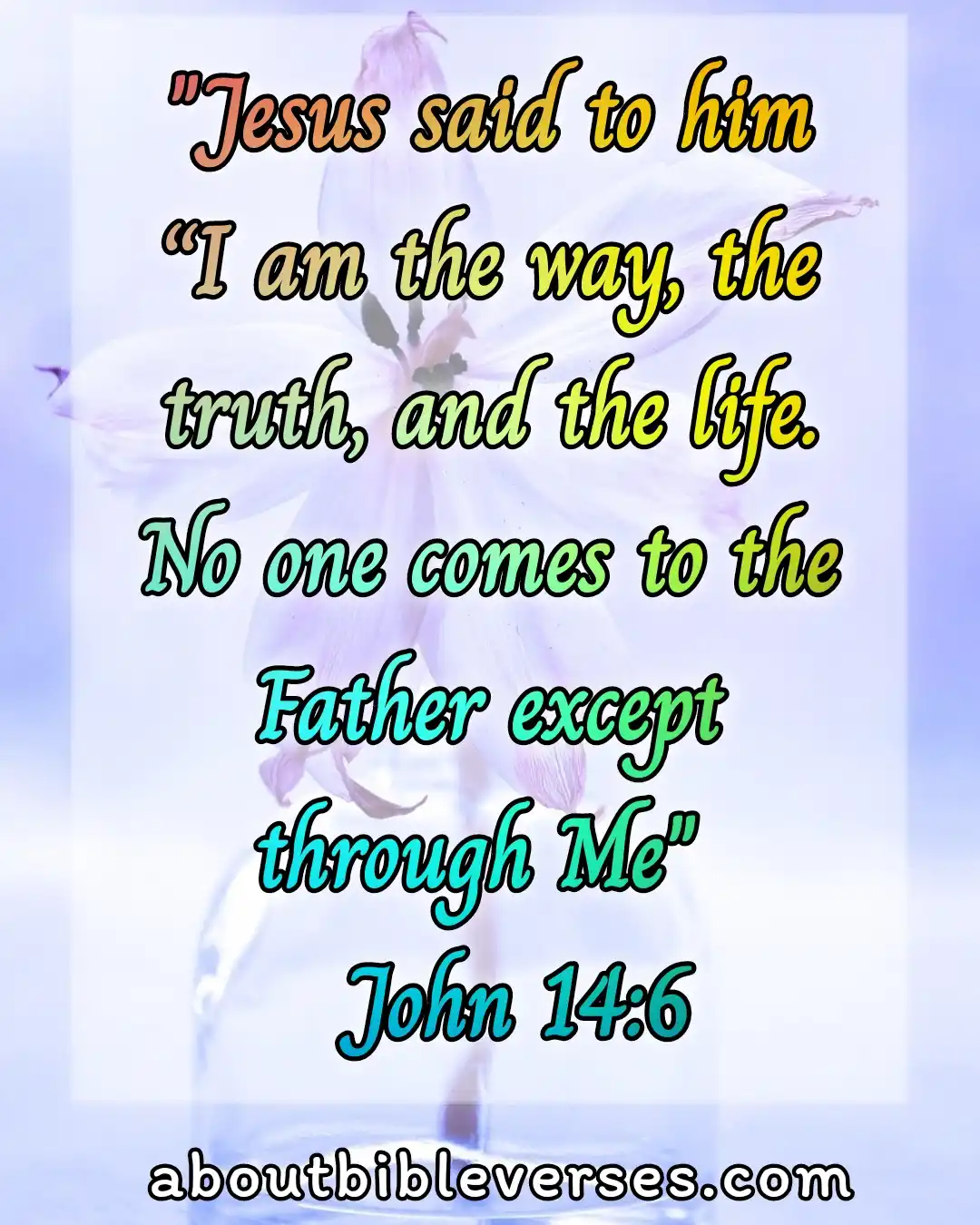 bible verses Accept Jesus As Your Lord And Savior (John 14:6)